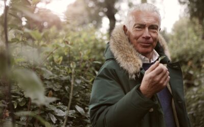 Top 5 Premium Ginseng Supplements for Men in 2026