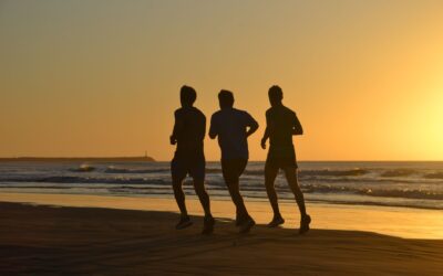 Top Sports Nutrition for Men Over $50 in 2026: Expert Picks