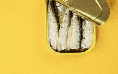 Best Fish Oil for Men in 2026: Premium Heart Health Picks