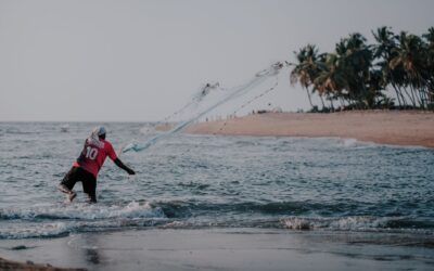 Best Krill Oil for Men: Top Heart Health Picks for 2026