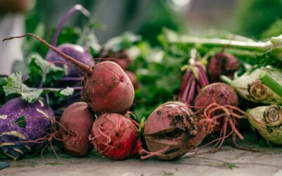 Best Beet Supplement for Men: A Buyer’s Guide for 2026
