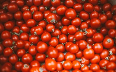 Top Lycopene Supplements for Men Over $50 in 2026: Expert Picks