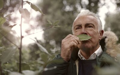 Premium Pygeum for Men: Top High-End Prostate Support Choices 2026